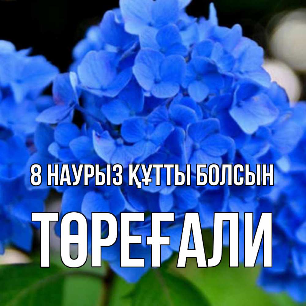 Күн сайын ашық хат с именем, Төреғали 8 наурыз құтты болсын синие цветы Онлайн тегін жүктеп алу тілектері бар керемет карта 
