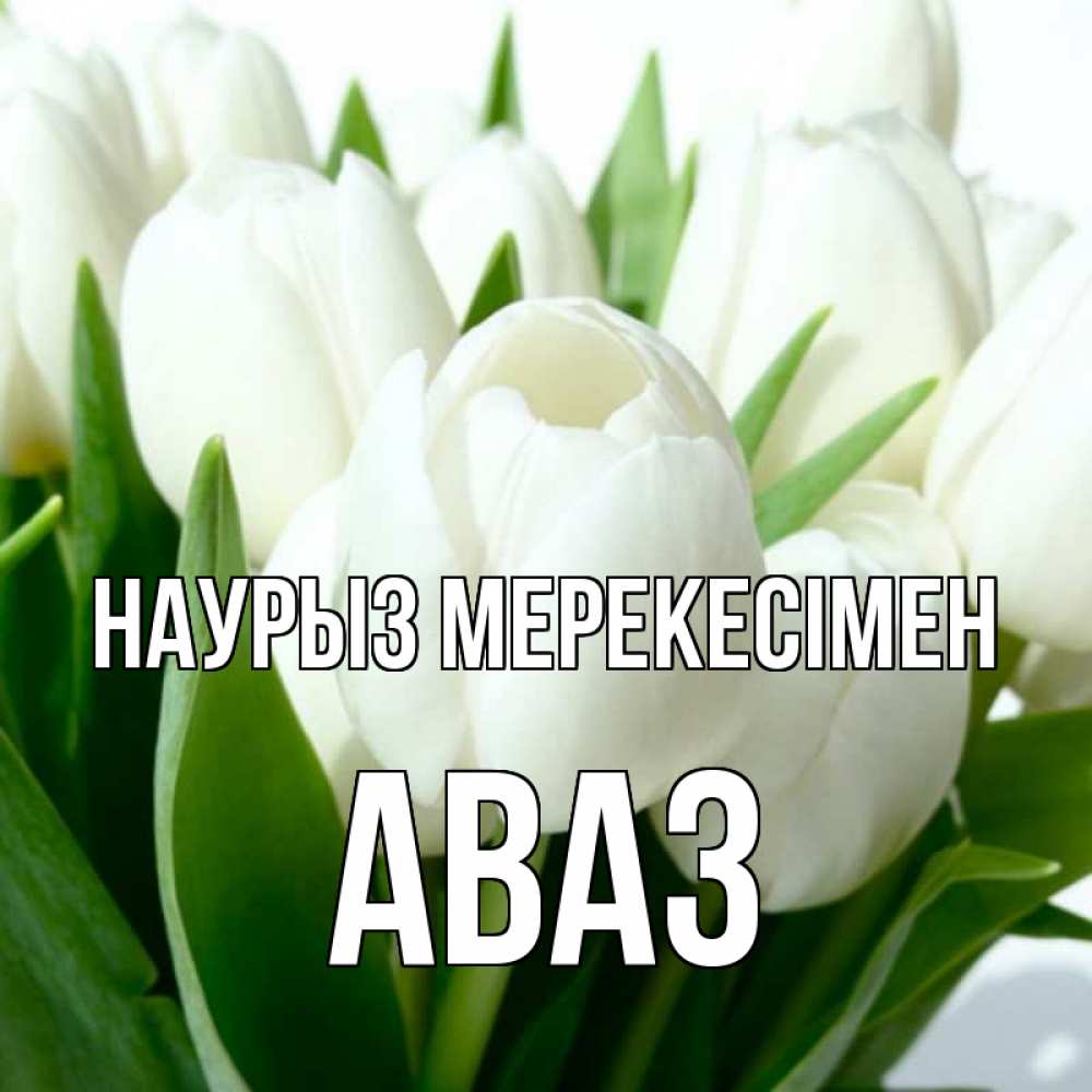 Күн сайын ашық хат с именем, Аваз Наурыз мерекесімен цветы Онлайн тегін жүктеп алу тілектері бар керемет карта 
