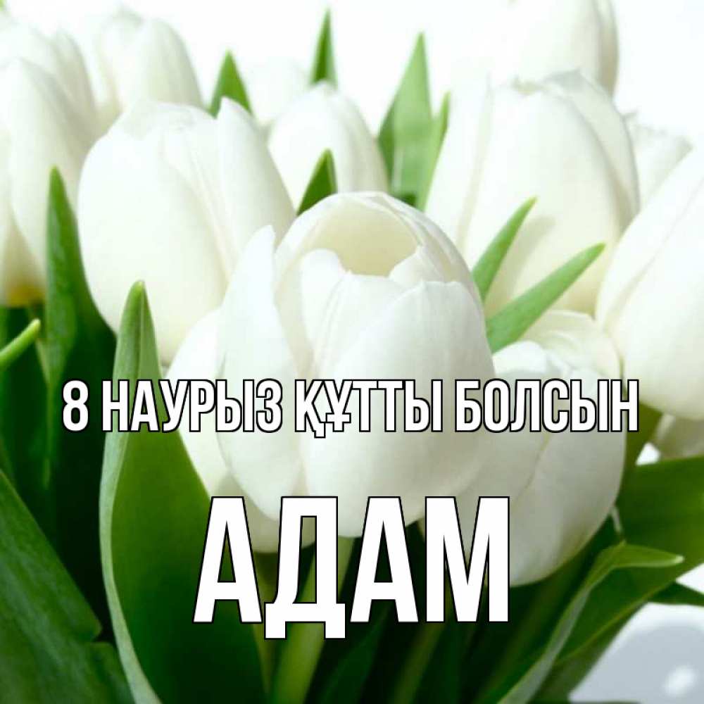 Күн сайын ашық хат с именем, Адам 8 наурыз құтты болсын цветы Онлайн тегін жүктеп алу тілектері бар керемет карта 
