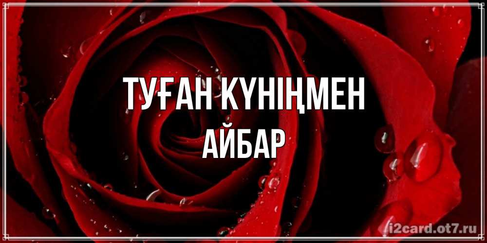 Күн сайын ашық хат с именем, Айбар Туған күніңмен крупная бордовая роза Онлайн тегін жүктеп алу тілектері бар керемет карта 