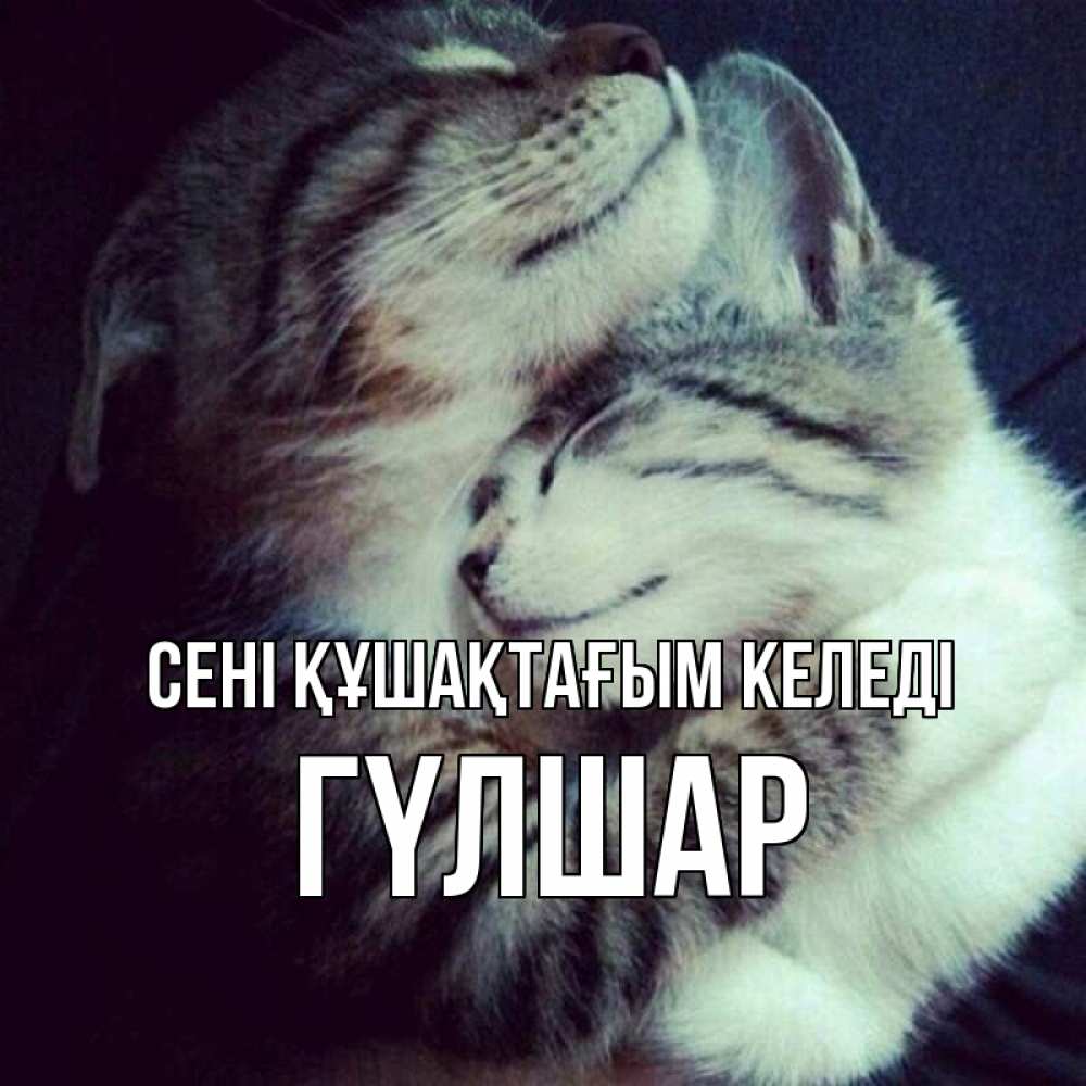 Күн сайын ашық хат с именем, ГҮЛШАР сені құшақтағым келеді полосатики Онлайн тегін жүктеп алу тілектері бар керемет карта 