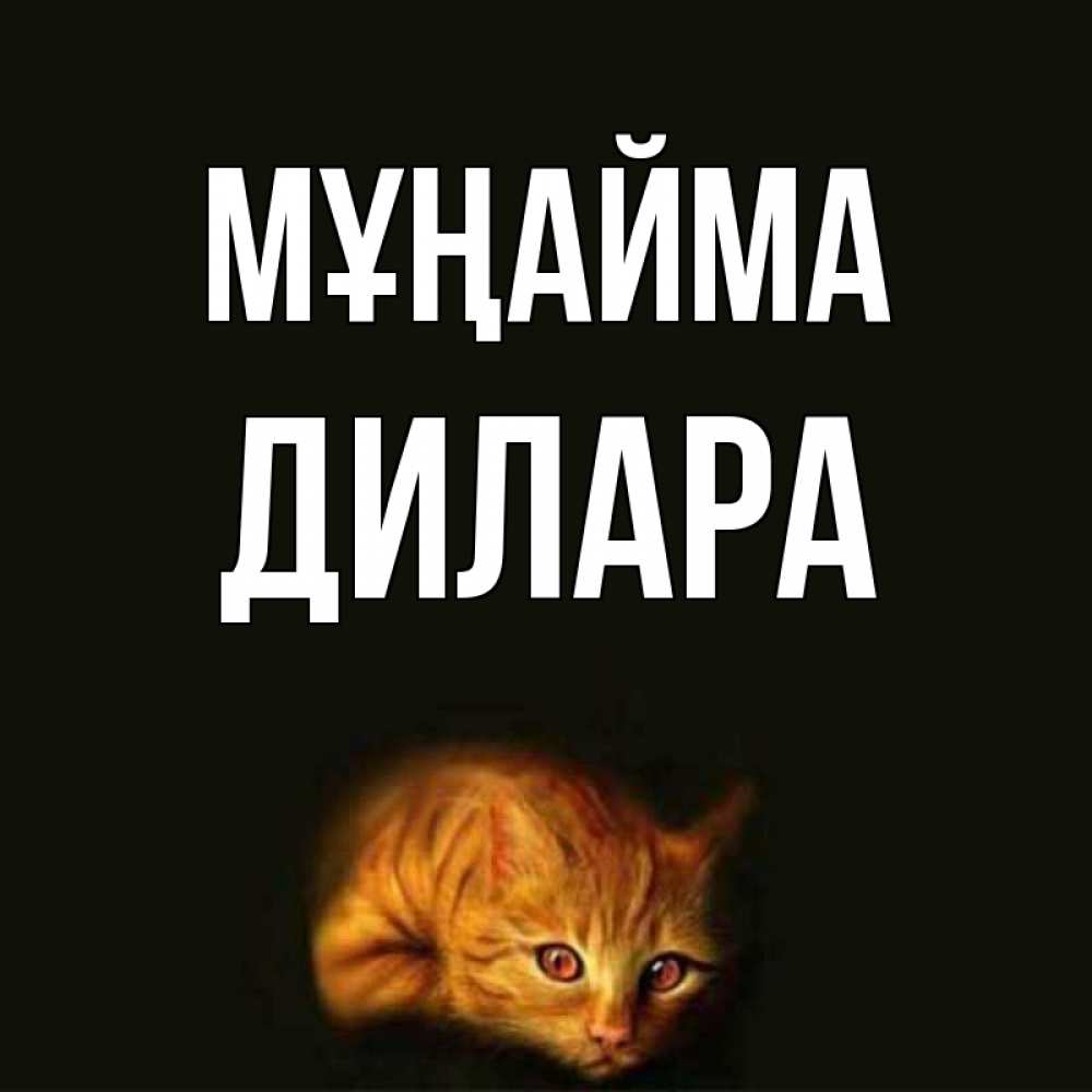 Күн сайын ашық хат с именем, Дилара Мұңайма лежащий кот в темноте Онлайн тегін жүктеп алу тілектері бар керемет карта 