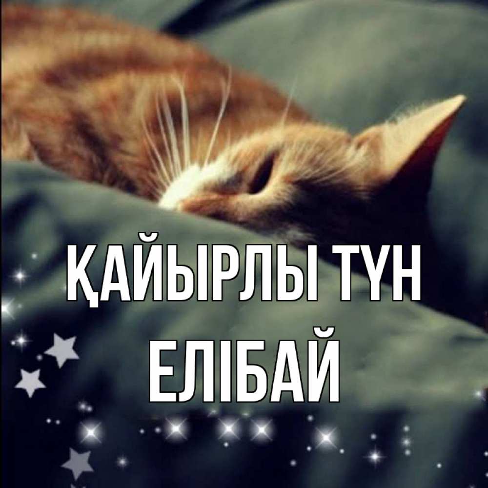 Күн сайын ашық хат с именем, Елібай Қайырлы түн кроватка Онлайн тегін жүктеп алу тілектері бар керемет карта 