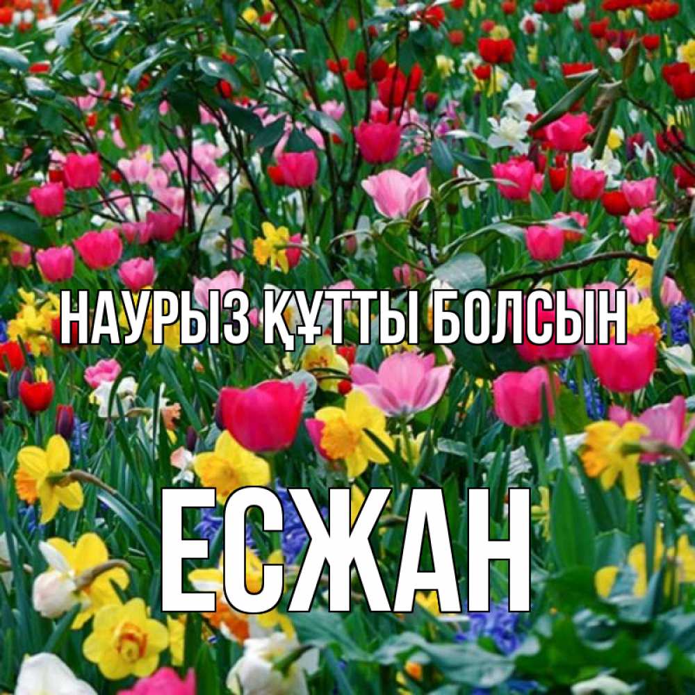 Күн сайын ашық хат с именем, Есжан Наурыз құтты болсын с наурызом поздравления для женщины Онлайн тегін жүктеп алу тілектері бар керемет карта 
