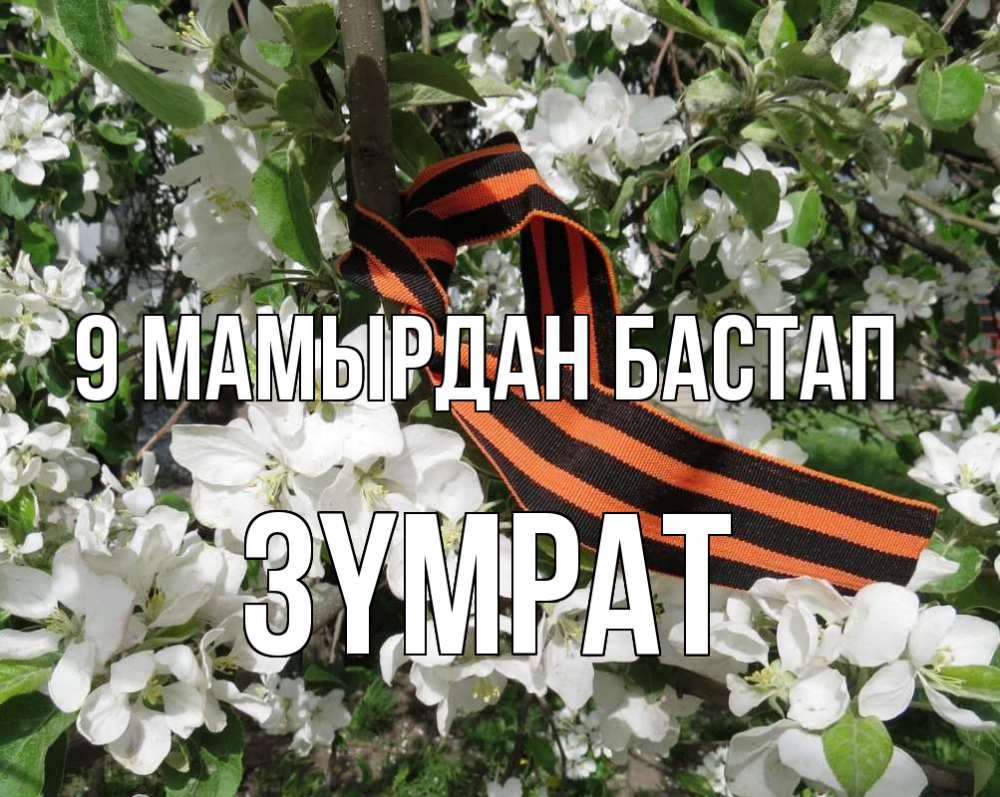 Күн сайын ашық хат с именем, ЗҮМРАТ 9 мамырдан бастап 9 мая Онлайн тегін жүктеп алу тілектері бар керемет карта 