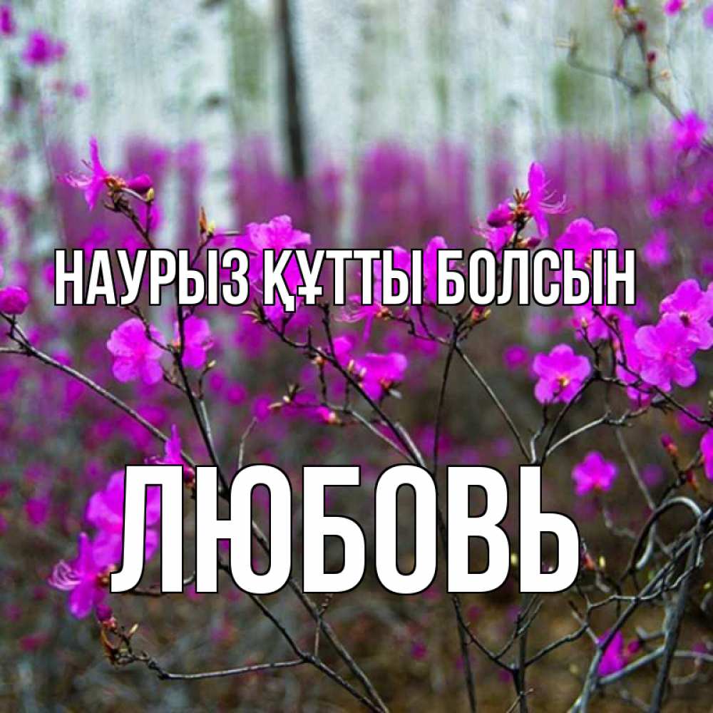 Күн сайын ашық хат с именем, Любовь Наурыз құтты болсын дикие цветы Онлайн тегін жүктеп алу тілектері бар керемет карта 