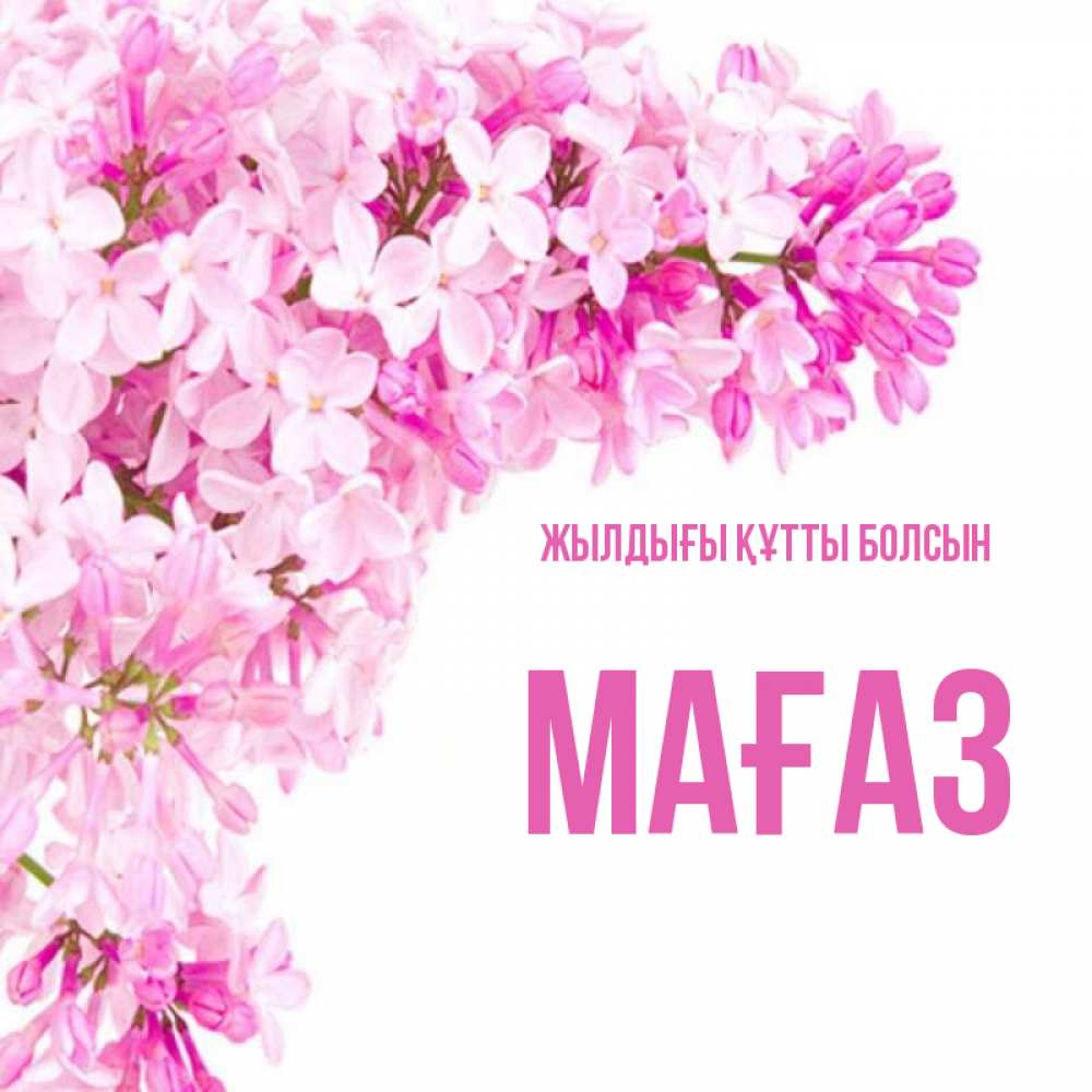 Күн сайын ашық хат с именем, МАҒАЗ Жылдығы құтты болсын Сирень на белом фоне Онлайн тегін жүктеп алу тілектері бар керемет карта 