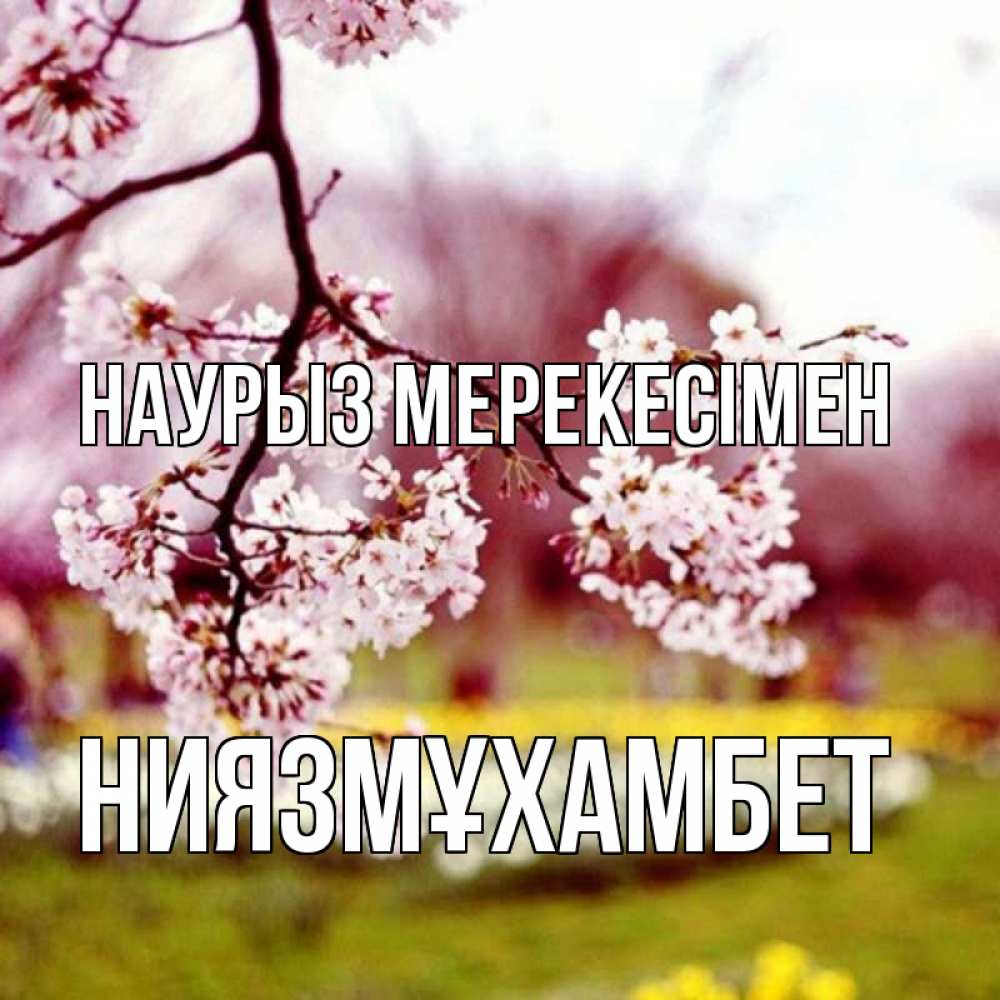 Күн сайын ашық хат с именем, НИЯЗМҰХАМБЕТ Наурыз мерекесімен яблоня Онлайн тегін жүктеп алу тілектері бар керемет карта 
