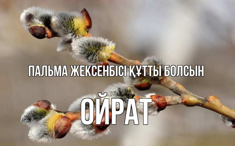 Күн сайын ашық хат с именем, ОЙРАТ Пальма жексенбісі құтты болсын Верба Онлайн тегін жүктеп алу тілектері бар керемет карта 