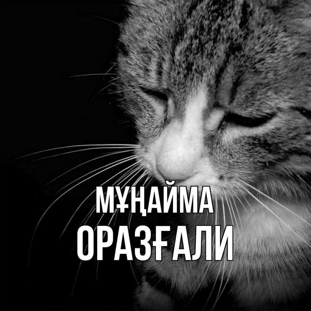 Күн сайын ашық хат с именем, ОРАЗҒАЛИ Мұңайма грустный котик Онлайн тегін жүктеп алу тілектері бар керемет карта 