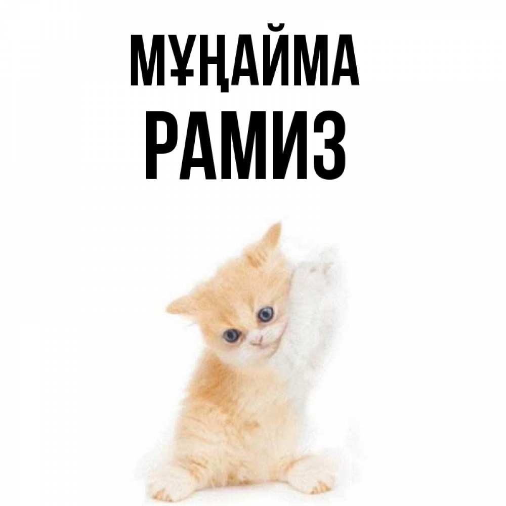 Күн сайын ашық хат с именем, РАМИЗ Мұңайма просящий кот Онлайн тегін жүктеп алу тілектері бар керемет карта 
