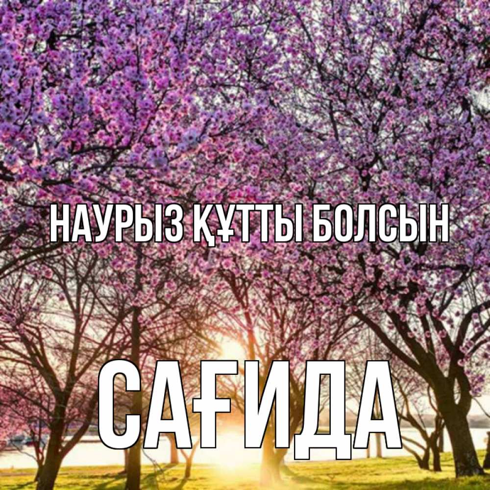 Күн сайын ашық хат с именем, САҒИДА Наурыз құтты болсын наурыз Онлайн тегін жүктеп алу тілектері бар керемет карта 