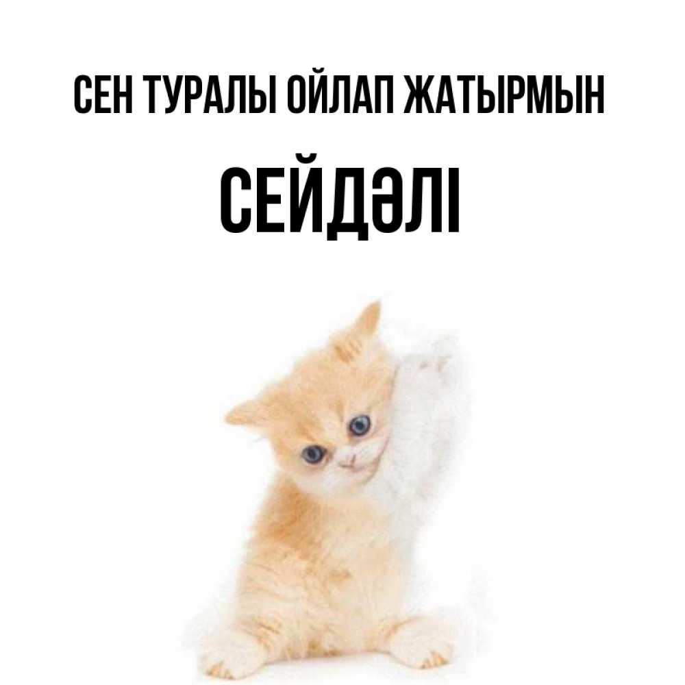 Күн сайын ашық хат с именем, СЕЙДӘЛІ Сен туралы ойлап жатырмын зверушки и милота Онлайн тегін жүктеп алу тілектері бар керемет карта 