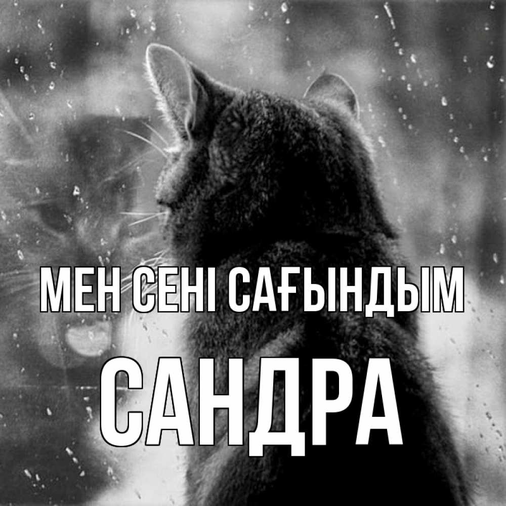 Күн сайын ашық хат с именем, Сандра Мен сені сағындым скорее ко мне приходи 1 Онлайн тегін жүктеп алу тілектері бар керемет карта 