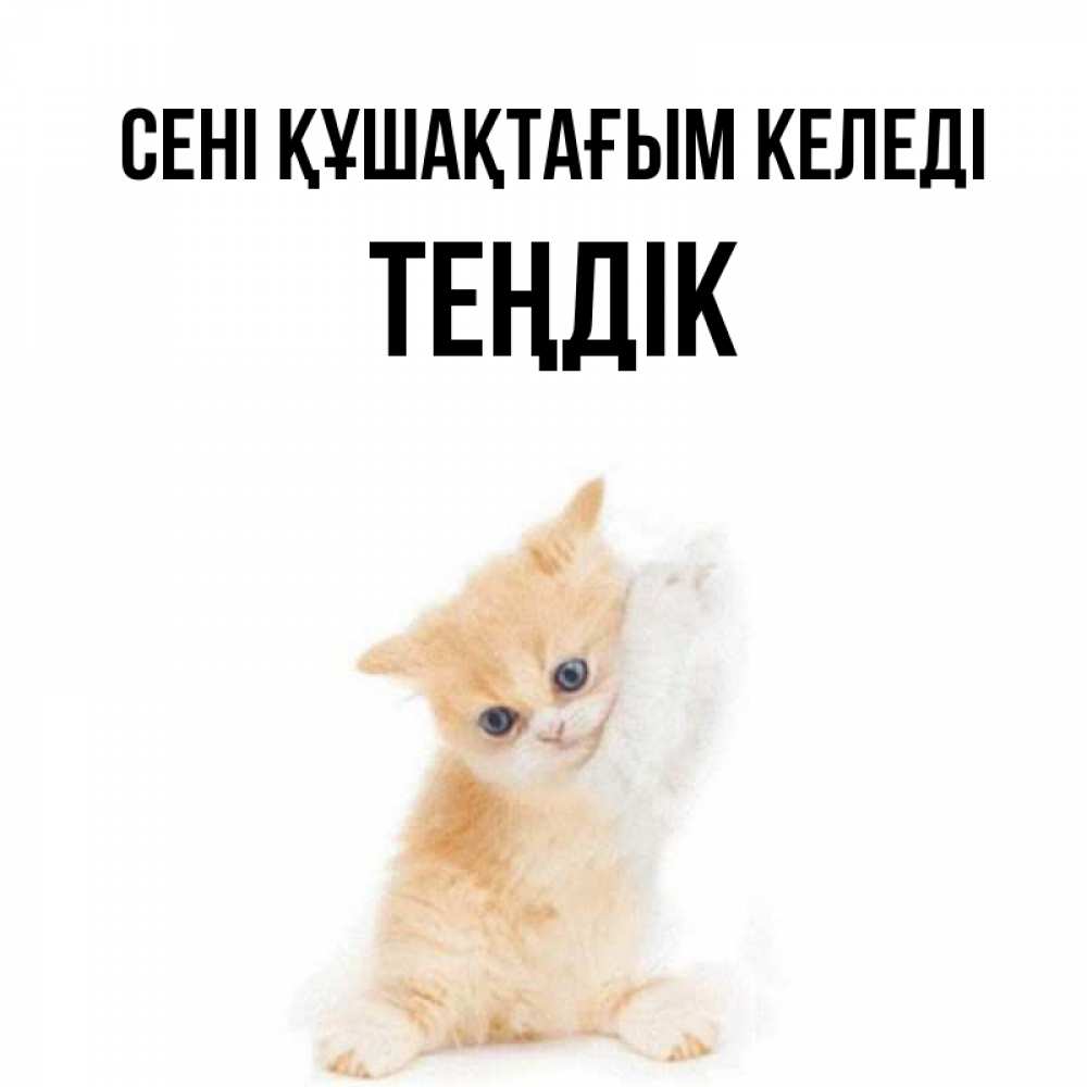 Күн сайын ашық хат с именем, ТЕҢДІК сені құшақтағым келеді я хочу очень скорее обнимаешек Онлайн тегін жүктеп алу тілектері бар керемет карта 