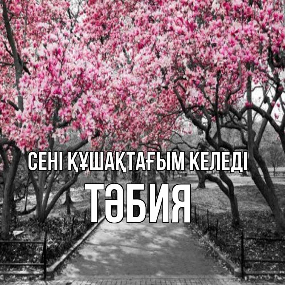 Күн сайын ашық хат с именем, ТӘБИЯ сені құшақтағым келеді обработанное фото Онлайн тегін жүктеп алу тілектері бар керемет карта 