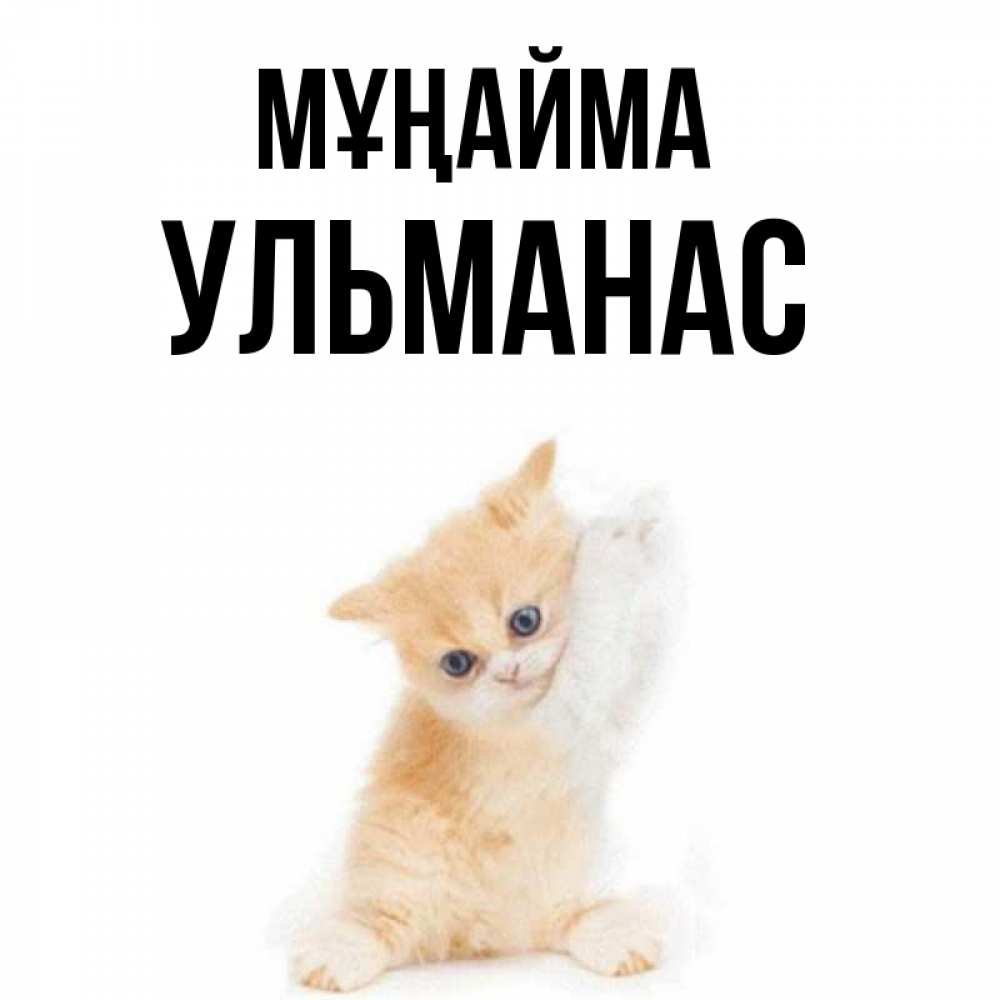 Күн сайын ашық хат с именем, Ульманас Мұңайма просящий кот Онлайн тегін жүктеп алу тілектері бар керемет карта 