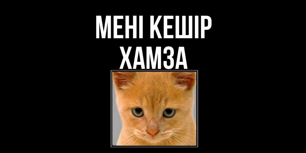 Күн сайын ашық хат с именем, ХАМЗА Мені кешір рыжий грустный кот просит прощения Онлайн тегін жүктеп алу тілектері бар керемет карта 