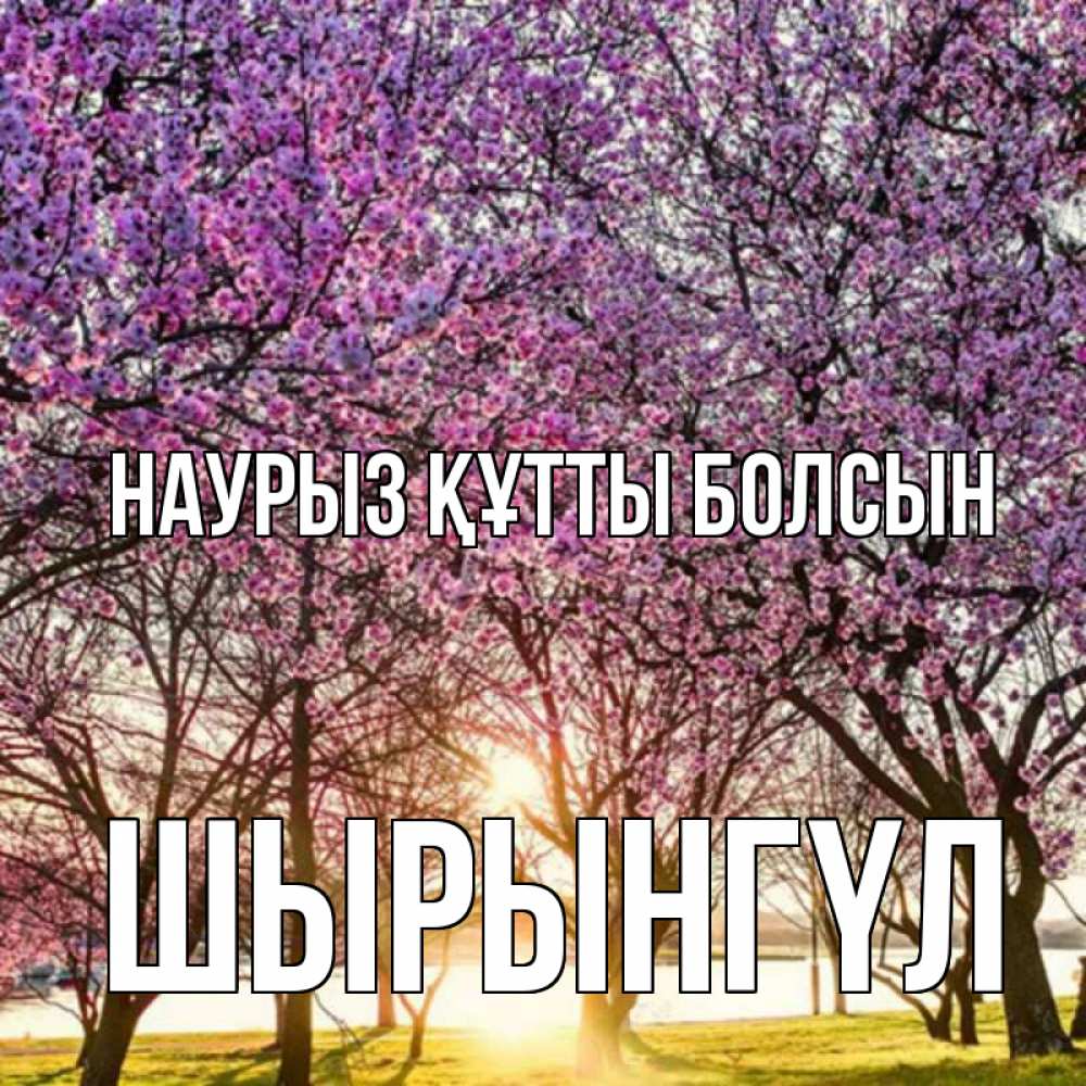 Күн сайын ашық хат с именем, ШЫРЫНГҮЛ Наурыз құтты болсын наурыз Онлайн тегін жүктеп алу тілектері бар керемет карта 