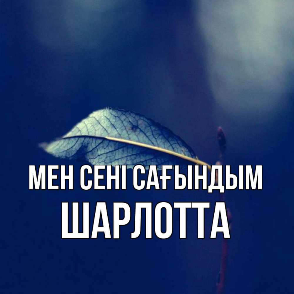 Күн сайын ашық хат с именем, Шарлотта Мен сені сағындым одна ветка 1 Онлайн тегін жүктеп алу тілектері бар керемет карта 