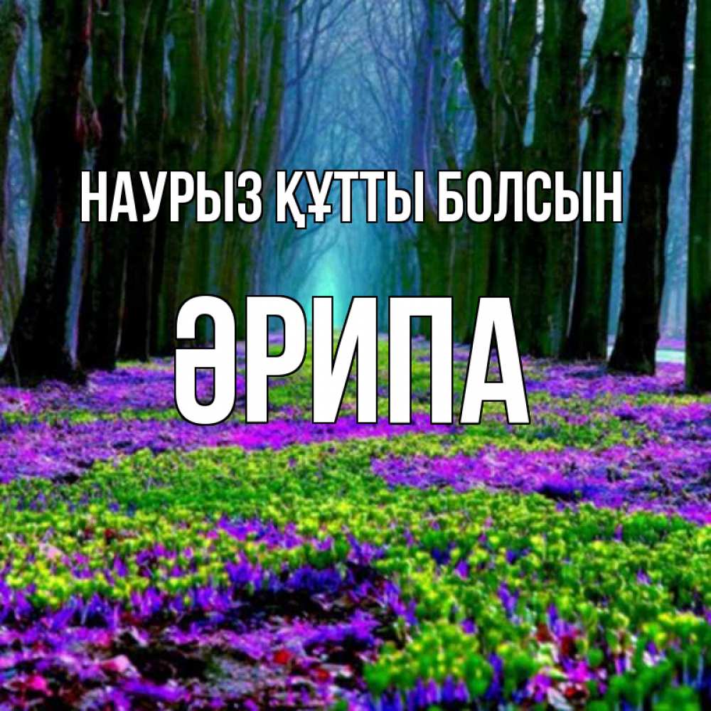 Күн сайын ашық хат с именем, ӘРИПА Наурыз құтты болсын фиолетовые цветы в лесу 1 Онлайн тегін жүктеп алу тілектері бар керемет карта 