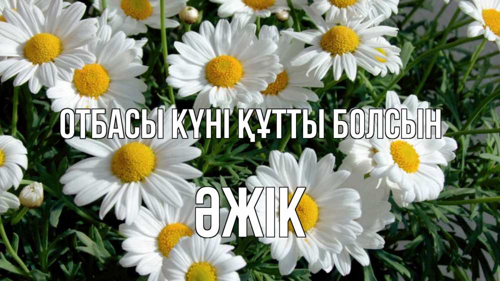 Күн сайын ашық хат с именем, Әжік отбасы күні құтты болсын с днем семьи Онлайн тегін жүктеп алу тілектері бар керемет карта 
