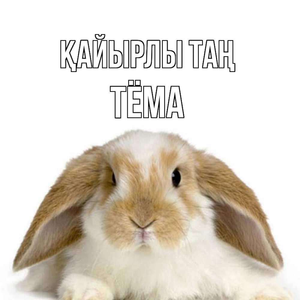 Күн сайын ашық хат с именем, Тёма Қайырлы таң прикольные открытки на каждый день Онлайн тегін жүктеп алу тілектері бар керемет карта 