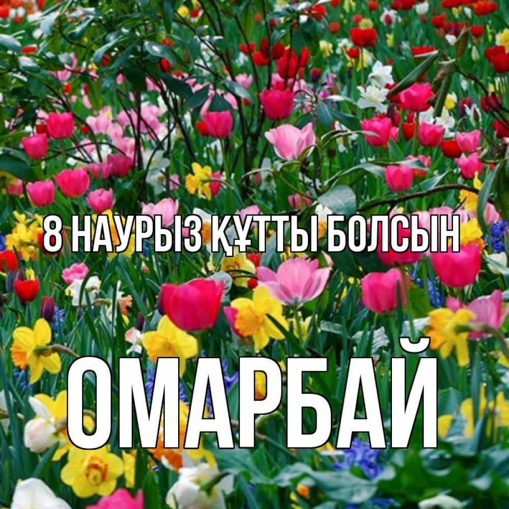 Күн сайын ашық хат с именем, ОМАРБАЙ 8 наурыз құтты болсын с международным женским днем поздравления для женщины Онлайн тегін жүктеп алу тілектері бар керемет карта 