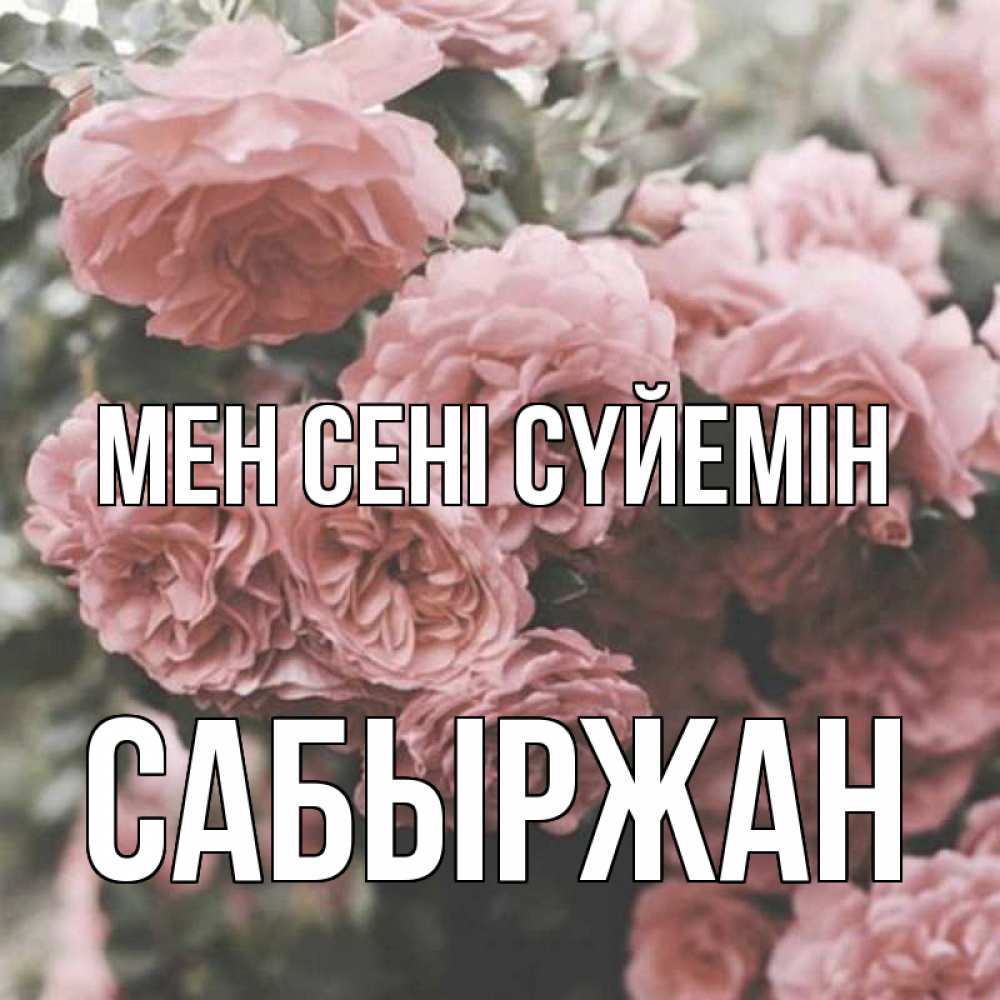 Күн сайын ашық хат с именем, САБЫРЖАН Мен сені сүйемін розы 3 Онлайн тегін жүктеп алу тілектері бар керемет карта 