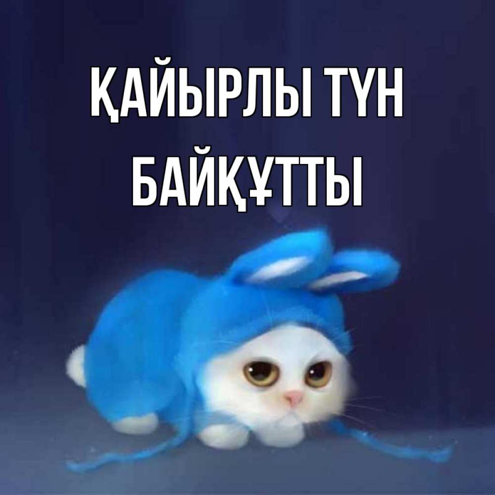 Күн сайын ашық хат с именем, Байқұтты Қайырлы түн кот в голубом костюме кролика с ушками Онлайн тегін жүктеп алу тілектері бар керемет карта 