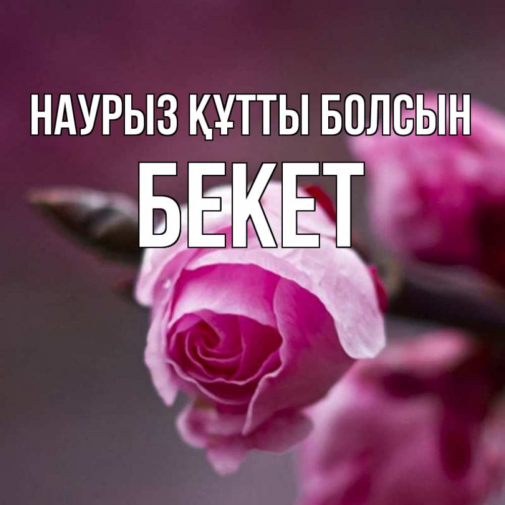Күн сайын ашық хат с именем, Бекет Наурыз құтты болсын весна Онлайн тегін жүктеп алу тілектері бар керемет карта 