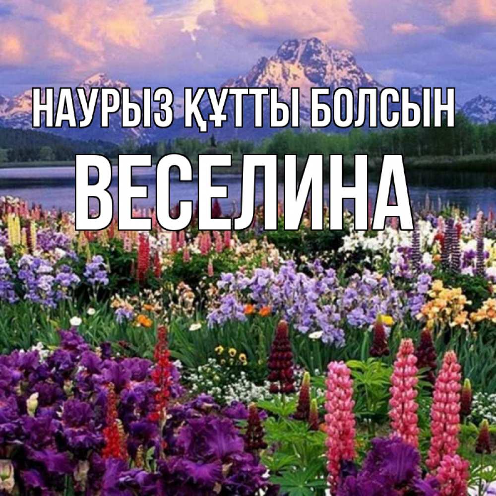 Күн сайын ашық хат с именем, Веселина Наурыз құтты болсын наурыз Онлайн тегін жүктеп алу тілектері бар керемет карта 