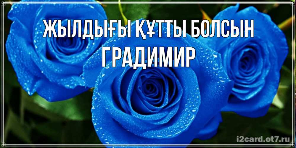 Күн сайын ашық хат с именем, Градимир Жылдығы құтты болсын розы с синим цветом Онлайн тегін жүктеп алу тілектері бар керемет карта 