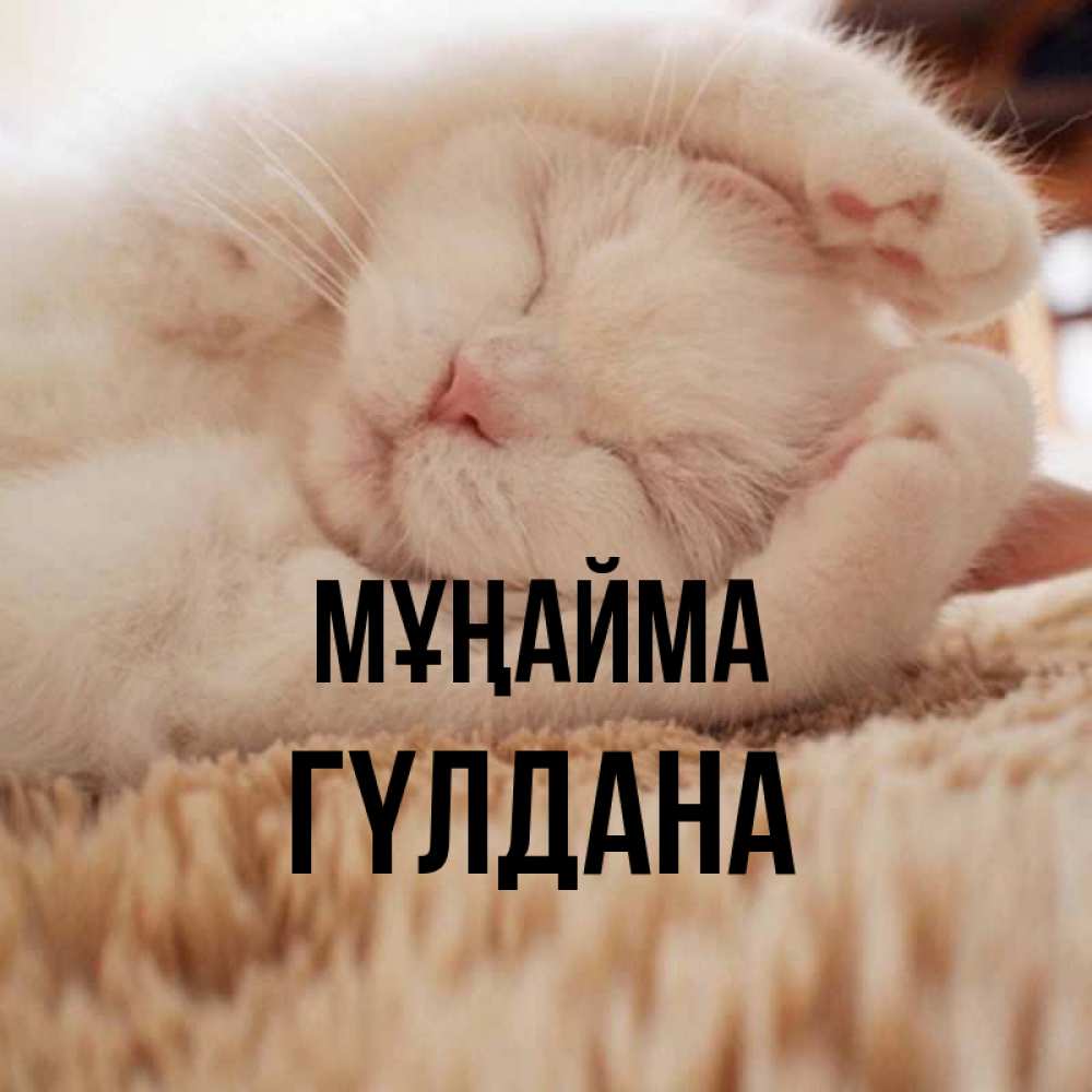 Күн сайын ашық хат с именем, ГҮЛДАНА Мұңайма Котенок спит Онлайн тегін жүктеп алу тілектері бар керемет карта 