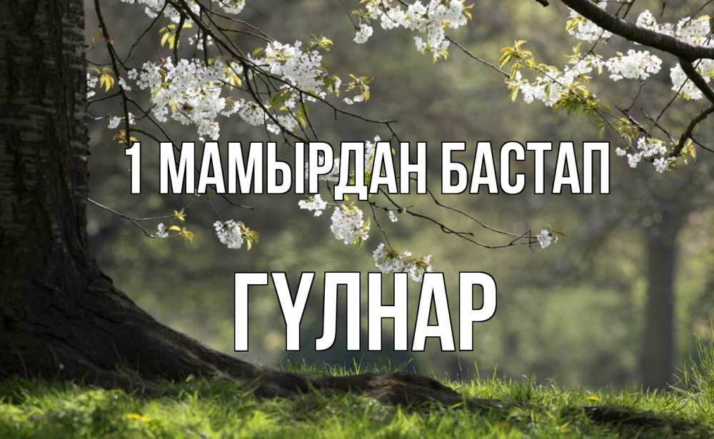Күн сайын ашық хат с именем, ГҮЛНАР 1 мамырдан бастап С 1 мая Онлайн тегін жүктеп алу тілектері бар керемет карта 
