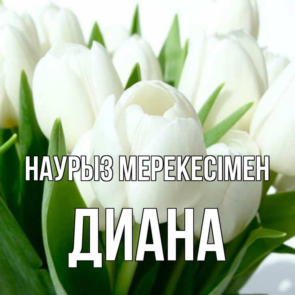 Күн сайын ашық хат с именем, Диана Наурыз мерекесімен цветы Онлайн тегін жүктеп алу тілектері бар керемет карта 