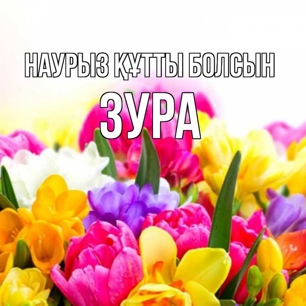 Күн сайын ашық хат с именем, ЗУРА Наурыз құтты болсын тюльпаны Онлайн тегін жүктеп алу тілектері бар керемет карта 