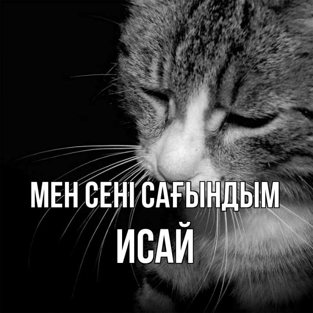 Күн сайын ашық хат с именем, Исай Мен сені сағындым мне скучно Онлайн тегін жүктеп алу тілектері бар керемет карта 