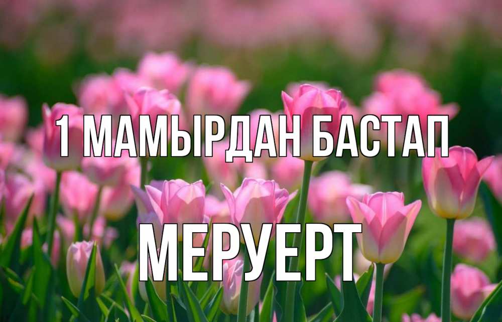 Күн сайын ашық хат с именем, МЕРУЕРТ 1 мамырдан бастап С 1 мая Онлайн тегін жүктеп алу тілектері бар керемет карта 
