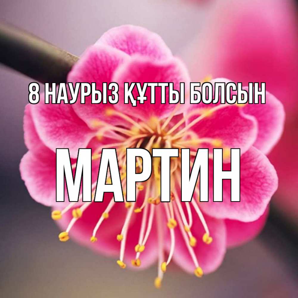Күн сайын ашық хат с именем, Мартин 8 наурыз құтты болсын цветы Онлайн тегін жүктеп алу тілектері бар керемет карта 