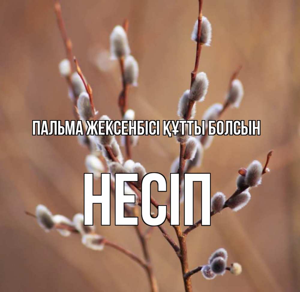 Күн сайын ашық хат с именем, НЕСІП Пальма жексенбісі құтты болсын верба Онлайн тегін жүктеп алу тілектері бар керемет карта 