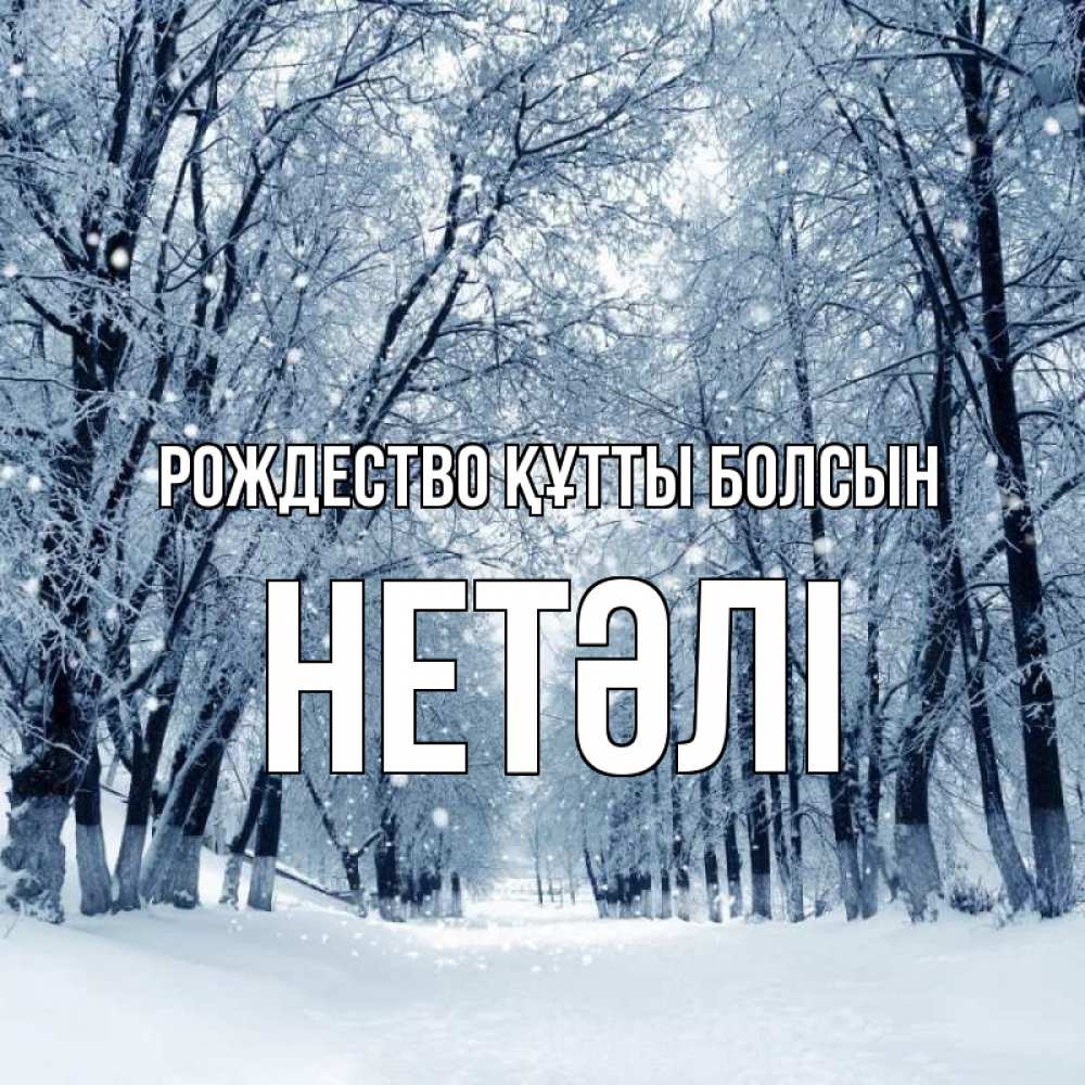 Күн сайын ашық хат с именем, НЕТӘЛІ Рождество құтты болсын снег, лес, парк Онлайн тегін жүктеп алу тілектері бар керемет карта 