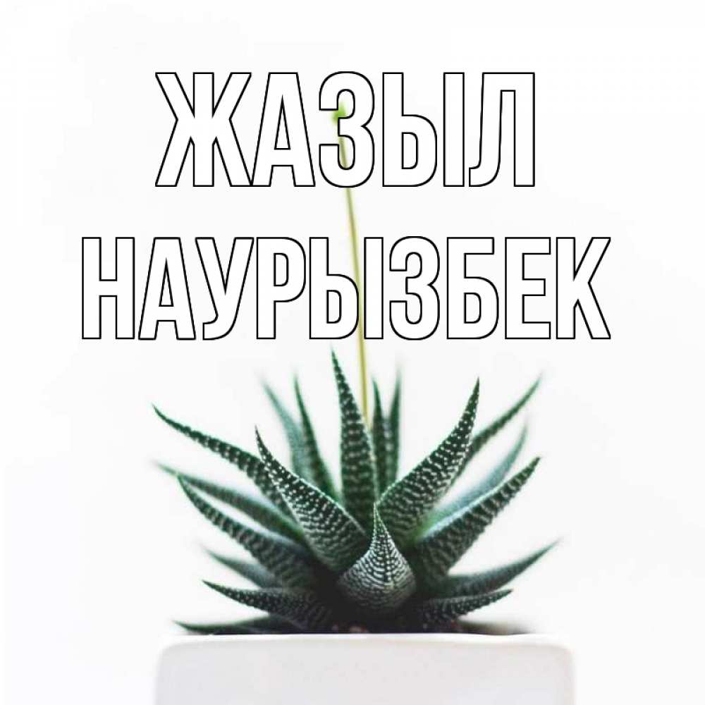 Күн сайын ашық хат с именем, Наурызбек Жазыл короче это непонятная колючка Онлайн тегін жүктеп алу тілектері бар керемет карта 