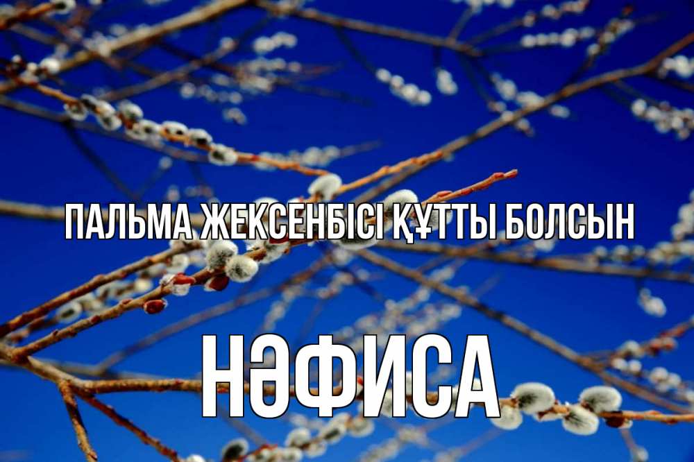 Күн сайын ашық хат с именем, НӘФИСА Пальма жексенбісі құтты болсын верба Онлайн тегін жүктеп алу тілектері бар керемет карта 