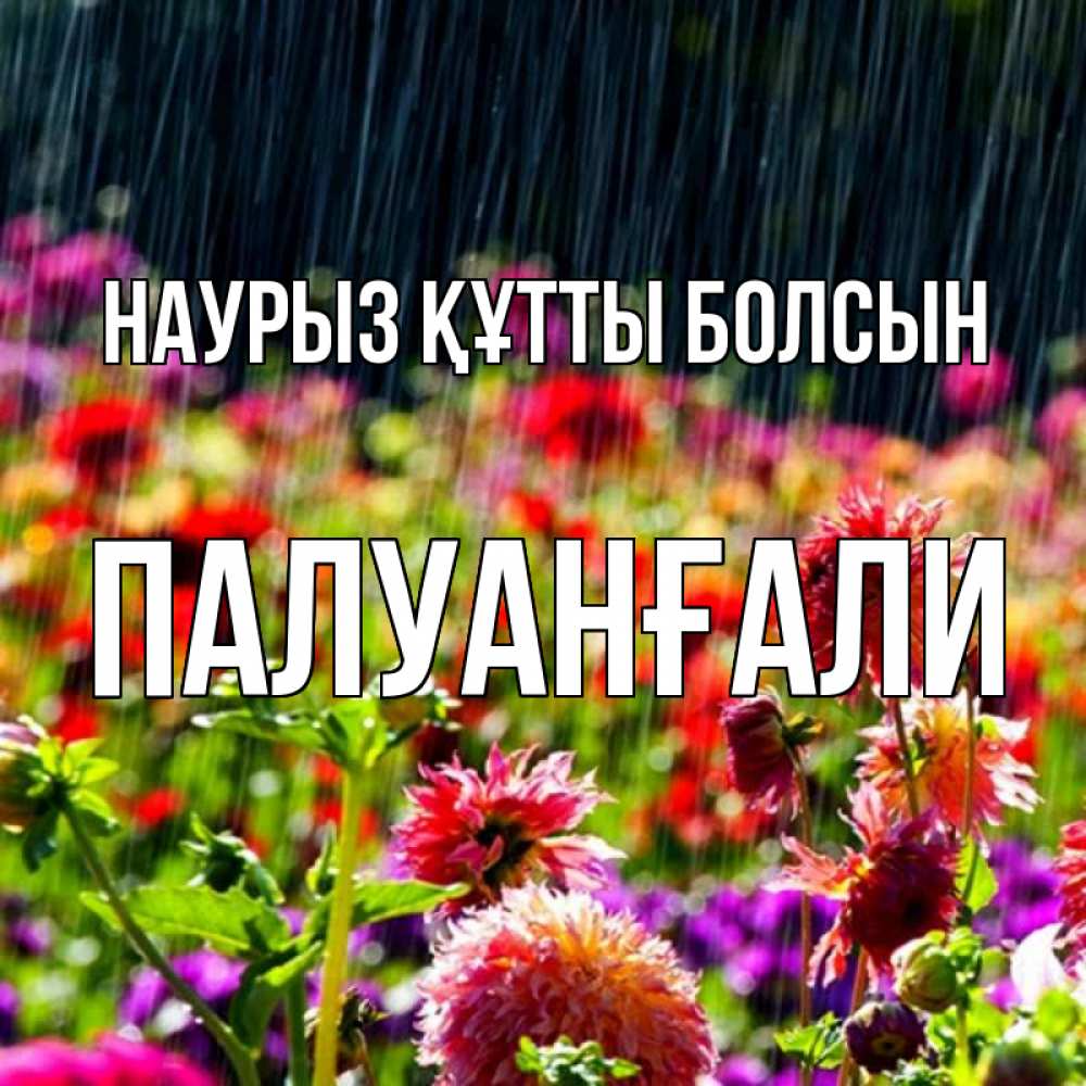 Күн сайын ашық хат с именем, ПАЛУАНҒАЛИ Наурыз құтты болсын цветы под дождиком к наурызу Онлайн тегін жүктеп алу тілектері бар керемет карта 