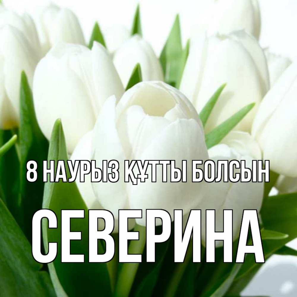 Күн сайын ашық хат с именем, Северина 8 наурыз құтты болсын цветы Онлайн тегін жүктеп алу тілектері бар керемет карта 