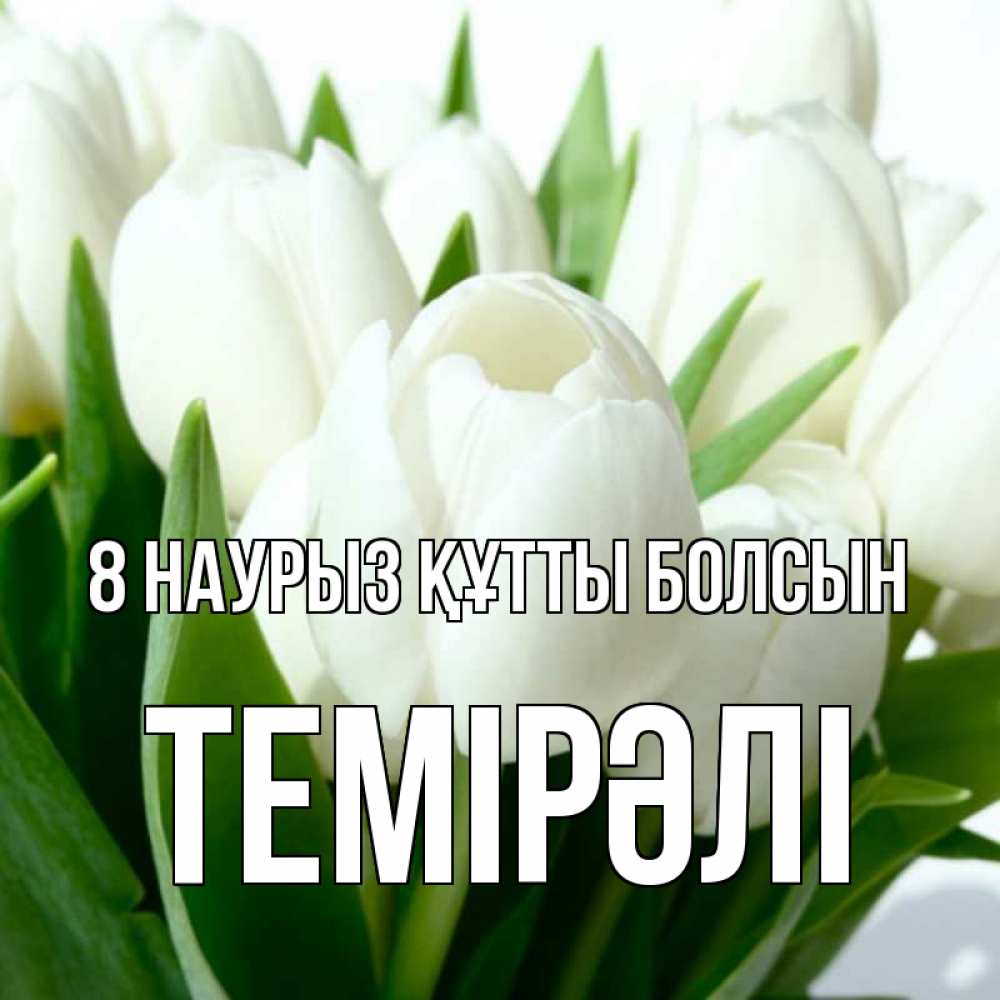 Күн сайын ашық хат с именем, ТЕМІРӘЛІ 8 наурыз құтты болсын цветы Онлайн тегін жүктеп алу тілектері бар керемет карта 