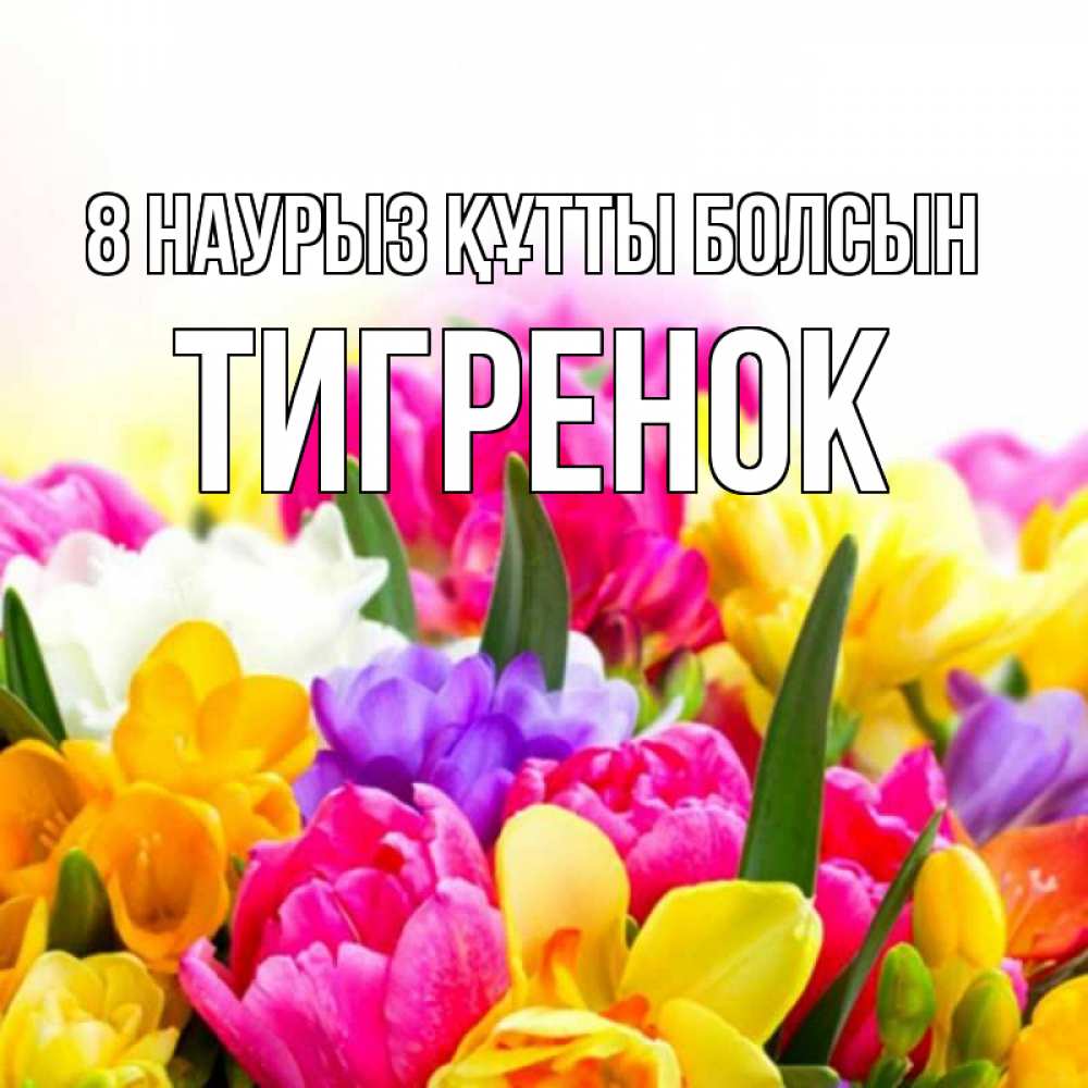 Күн сайын ашық хат с именем, Тигренок 8 наурыз құтты болсын тюльпаны Онлайн тегін жүктеп алу тілектері бар керемет карта 