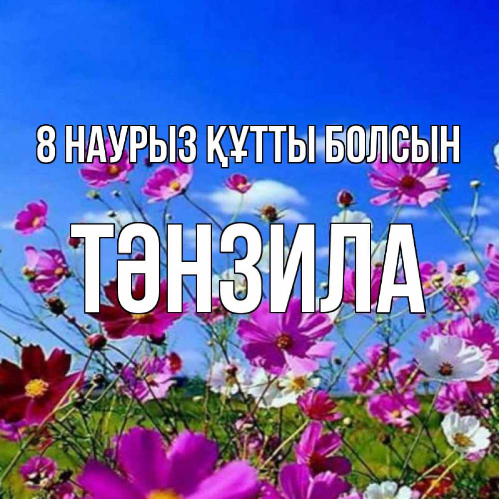 Күн сайын ашық хат с именем, ТӘНЗИЛА 8 наурыз құтты болсын цветы Онлайн тегін жүктеп алу тілектері бар керемет карта 