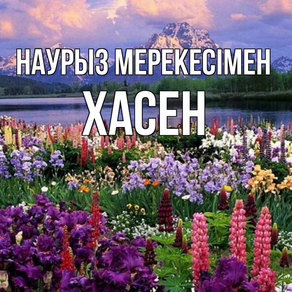 Күн сайын ашық хат с именем, ХАСЕН Наурыз мерекесімен праздник весны наурыз Онлайн тегін жүктеп алу тілектері бар керемет карта 